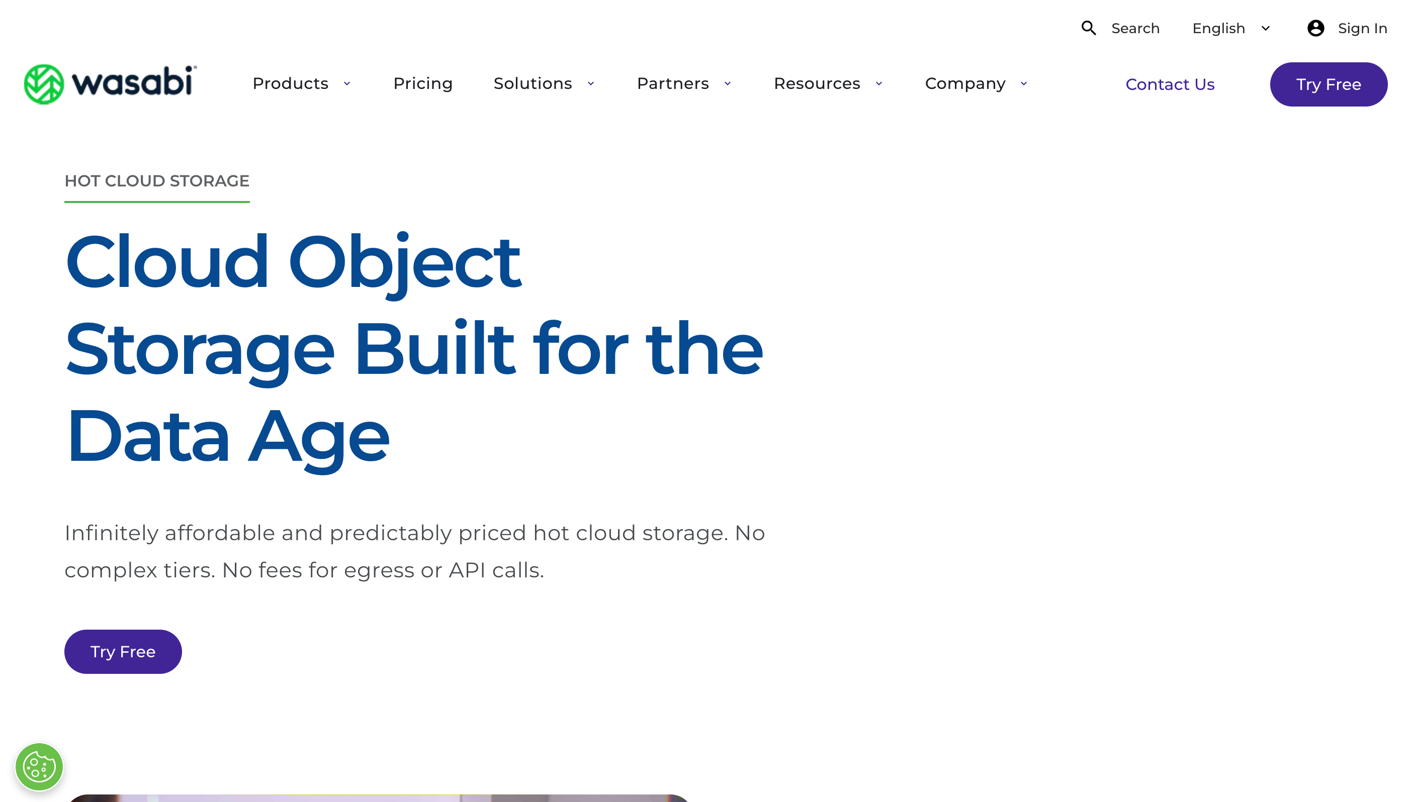 Wasabi Hot Cloud Storage Website